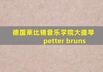 德国莱比锡音乐学院大提琴petter bruns